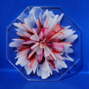 Transparent Octagonal Red and Pink Bloom Coaster