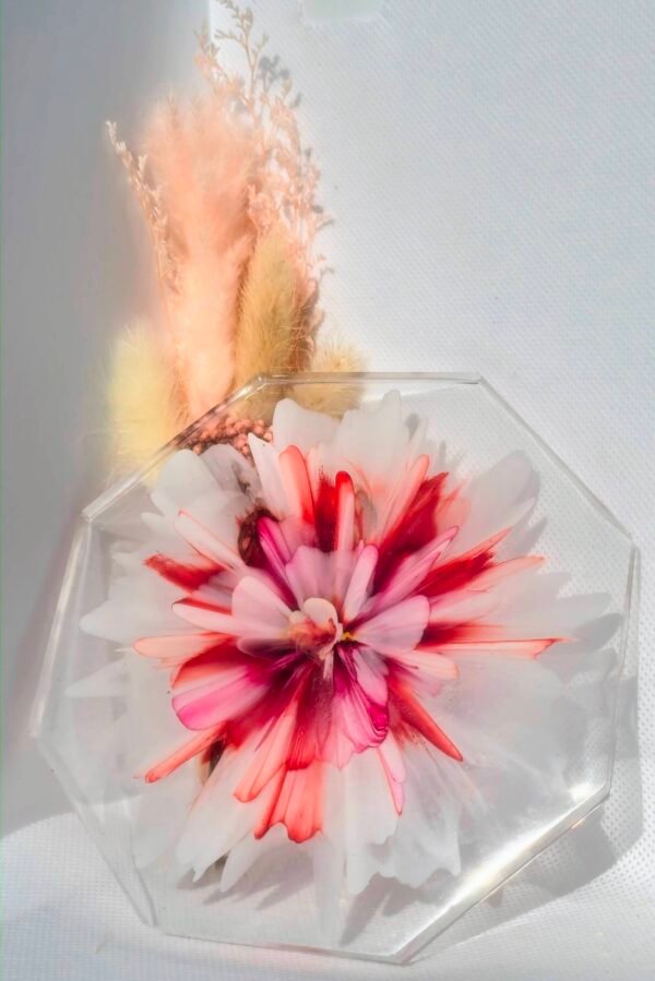 Pink and White bloom on transparent back 2 Transparent Octagonal Red and Pink Bloom Coaster